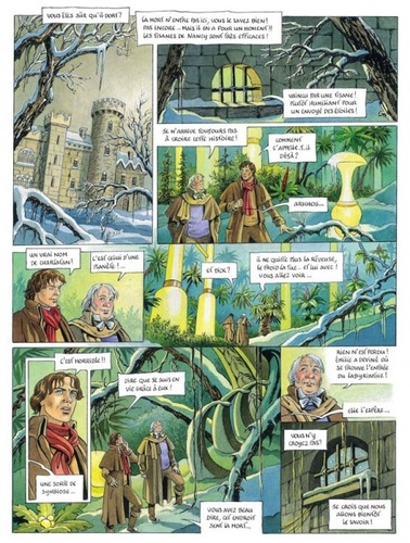 L'héritage d'Emilie Tome 5 L'Arcane