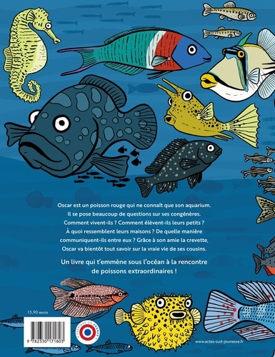 Le monde secret des poissons