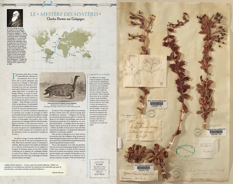 L'herbier des explorateurs. Sur les traces de Théophraste, Jussieu, La Pérouse, Darwin, Livingstone, Monod...