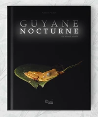Guyane nocturne