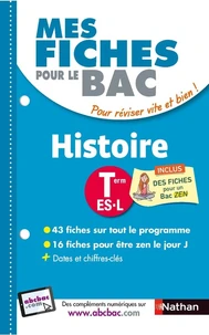 Histoire Tle ES, L