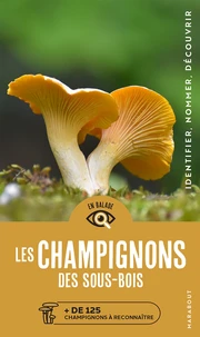 Les champignons des sous bois