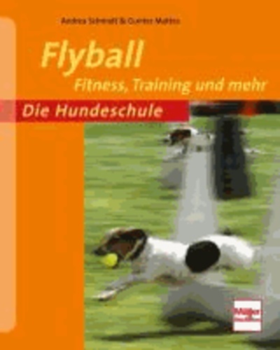 Flyball - Fitness, Training und mehr.