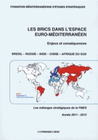Les BRICS dans l'espace euro-méditerranéen