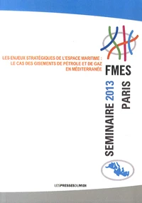 Les enjeux stratégiques de l'espace maritime : le cas des gisements de pétrole et de gaz en Méditerranée
