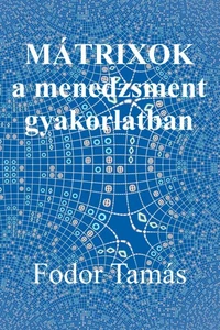 Mátrixok a menedzsment gyakorlatban