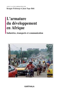 L'armature du développement en Afrique