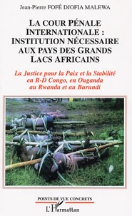 La Cour Pénale Internationale : Institution nécessaire aux pays des Grands Lacs Africains