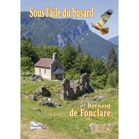 Sous l'aile du busard
