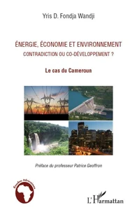 Energie, économie et environnement