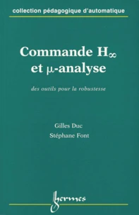 Commande H Et Micro-Analyse. Des Outils Pour La Robustesse