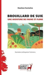 Brouillard de suie