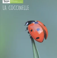 La coccinelle