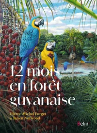 12 mois en forêt guyanaise