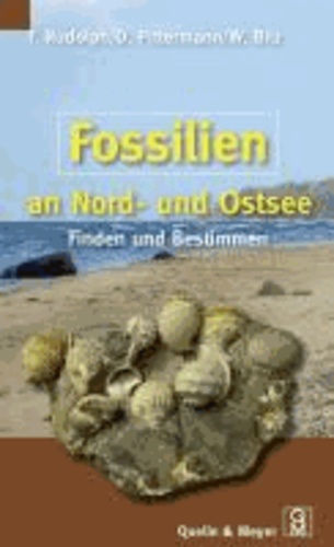 Fossilien an Nord- und Ostsee - Finden und Bestimmen.
