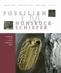 Fossilien im Hunsrück Schiefer - Einzigartige Funde aus einer einzigartigen Region.