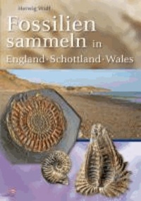 Fossilien sammeln in England - Schottland - Wales.