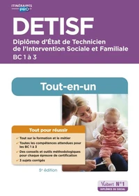 DETISF - Blocs de compétences 1 à 3