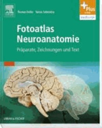 Fotoatlas Neuroanatomie - Präparate, Zeichnungen und Text - mit Zugang zur mediscript Lernwelt.