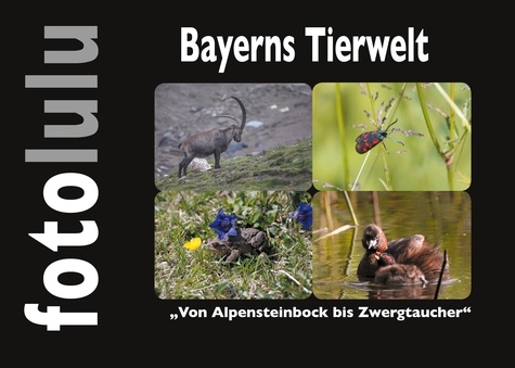 Bayerns Tierwelt. Von Alpensteinbock bis Zwergtaucher
