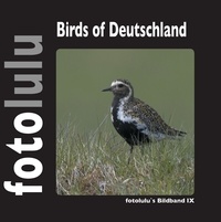  fotolulu - Birds of Deutschland - fotolulus Bildband IX.