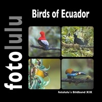  fotolulu - Birds of Ecuador - fotolulu`s Bildband XIX.