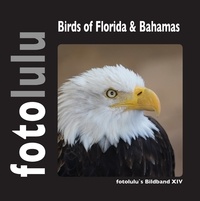  fotolulu - Birds of Florida &amp; Bahamas - fotolulu's Bildband XIV.
