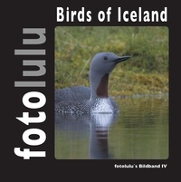  fotolulu - Birds of Iceland - fotolulu's Bildband 4.