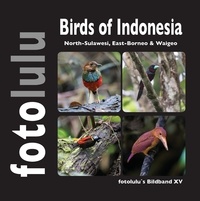  fotolulu - Birds of Indonesien - North-Sulawesi, East-Borneo &amp; Waigeo.