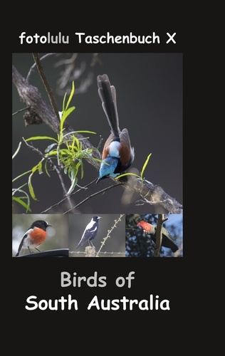 Birds of South Australia. fotolulu Taschenbuch X