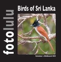  fotolulu - Birds of Sri Lanka - fotolulu's Bildband XIII.