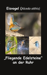  fotolulu - Eisvogel (Alcedo atthis) - "Fliegende Edelsteine" an der Ruhr.
