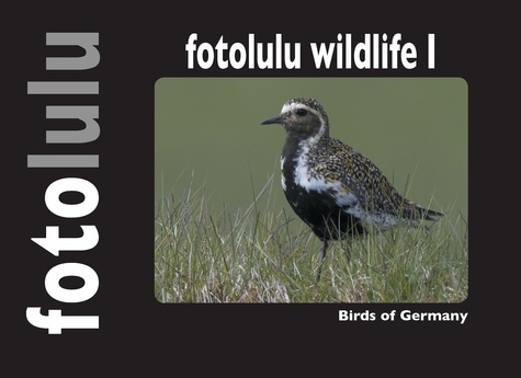 fotolulu wildlife I. Birds of Germany