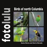 Birds of north Columbia
