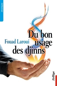 Fouad Laroui - Du bon usage des djinns.