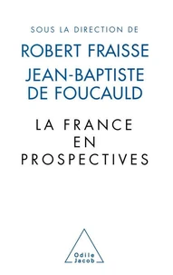 La France En Prospectives