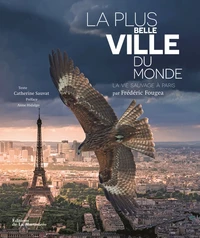 La plus belle ville du monde