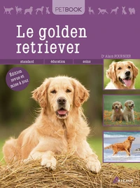 Le golden retriever