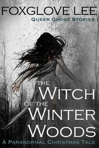 The Witch of the Winter Woods: A Paranormal Christmas Tale