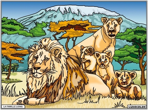 FP Color - La Famille lion.