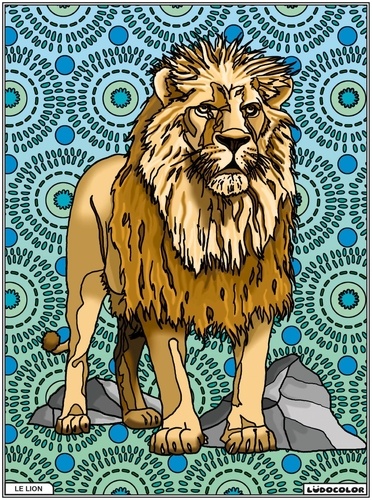  FP Color - Le Lion.