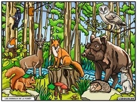  FP Color - Les animaux de la forêt.
