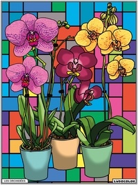  FP Color - Les Orchidées.