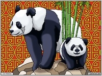  FP Color - Les Pandas.