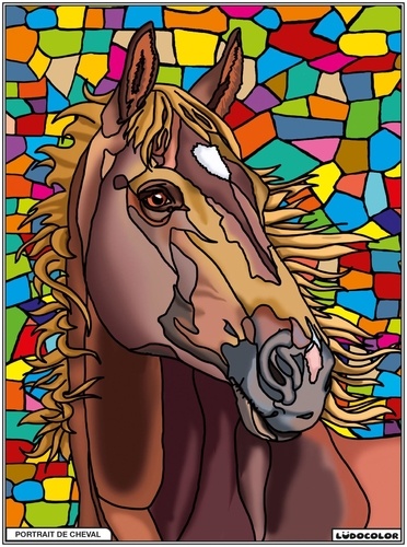  FP Color - Portrait de cheval.