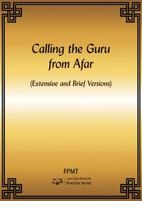Calling the Guru from Afar eBook