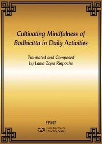 Cultivating Mindfulness of Bodhicitta in Daily Activities eBook