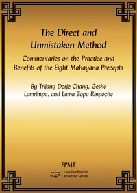 The Direct and Unmistaken Method: Commentaries on the Practice and Benefits of the Eight Mahayana Precepts eBook