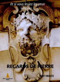 Regards de pierre