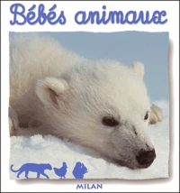 Bébés animaux